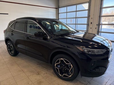 2026 Ford Escape Platinum